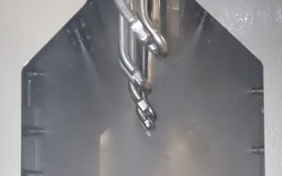 Inline inside-outside cleaning of poultry offers many advantages