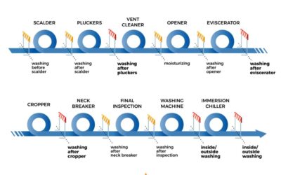 Improving hygiene in poultry processing by taking the hurdle concept to the next level